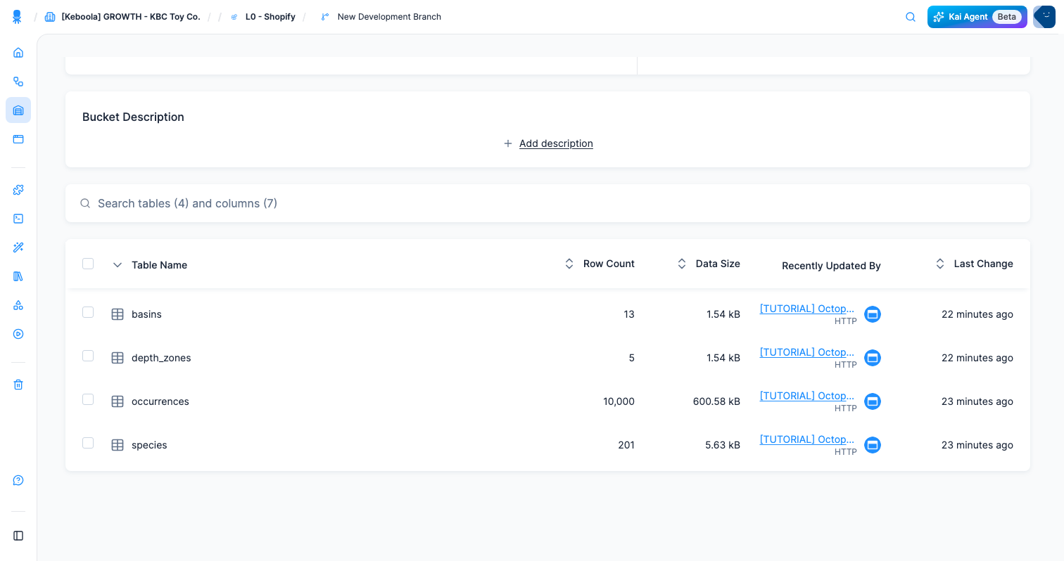 Screenshot - The four tables in Storage